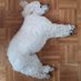 Der Don und sein Kamillo (@don_und_kamillo) Twitter profile photo Der Don und sein Kamillo (@don_und_kamillo) Twitter profile photo