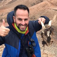 Andrés de la Cruz (@andres_dlac) 's Twitter Profile Photo