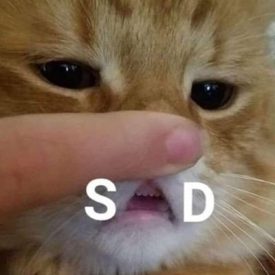 malateabag's profile picture. 은둔 마스터. 여기서 본 건 여기서 잊고 가세요.