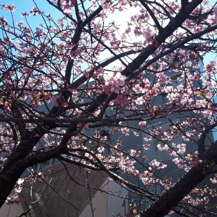 H15VoNXmtiddXJI's profile picture. このアカウント以外のアカウントは作っていません。

動物、とくにハムちゃんとバブ猫ちゃんが好きです。ハムちゃんの寿命の短さを知って、ショックです。フォローしていながらスルーみたいな状態でごめんなさい(*´；ェ；｀*)
あ、フォロバはほぼしていません🙇🙇

アトピッ子シリーズ、ガチでトラウマがある方はごめんなさい😞