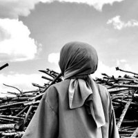 seda (@sedanilda) 's Twitter Profile