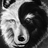aspiemelly's profile image