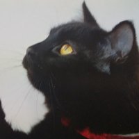 黒之進 (@skuronoshin) Twitter profile photo
