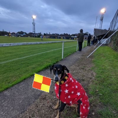 Callum👨 Maddie🐕. We watch a bit of football ⚽ Follow Barnet 🐝 & Harborough Town 🐝 Coming to a ground near you (87/92 & 300+ in total) 🏟️

#bringbarnetback