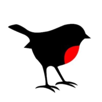 robinXnibor's profile picture. Scalping is happening here 💥
Crypto Currency Trader & Investor