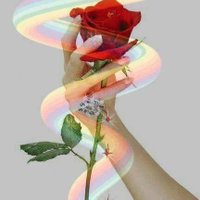tofan (@tofankonak21) 's Twitter Profile Photo