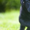 Kaiden Jacobs - @KaidenJacobs4 - Twitter