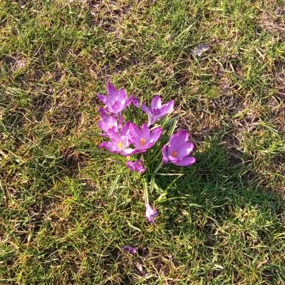 threebigmoods1's profile picture. 