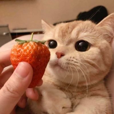 wwwiiinnn22's profile picture. 슬렌더가 조음