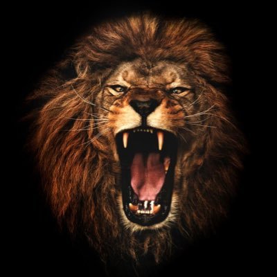 belgser's profile picture. чудесник, филантроп и просто любитель жизни