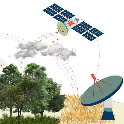 MEPaoletti92's profile picture. 