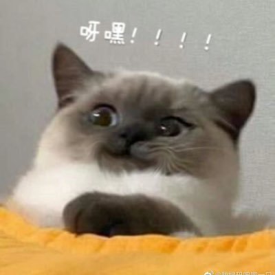 赤羽月生さんのプロフィール画像