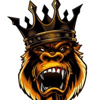 Mrdrip2hrd (@mrdriptoohrd) 's Twitter Profile