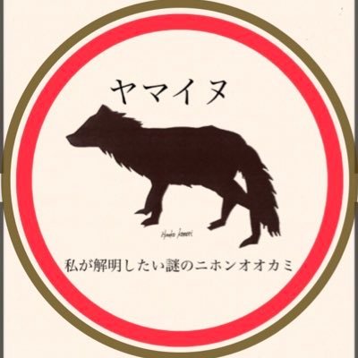 絶滅動物が好きな娘の母です/【99人の壁】最年少グランドスラム/【博士ちゃん】絶滅動物博士ちゃん/調べる学習「ヤマイヌ~私が解明したい謎のニホンオオカミ」文部科学大臣賞🏅/共著論文「国立科学博物館所蔵ヤマイヌ剥製標本はニホンオオカミCanis lupus hodophilaxか？」「明治時代のキリンの標本について」