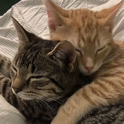 yjthyt's profile picture. 가라앉고 싶어 너의 바다에