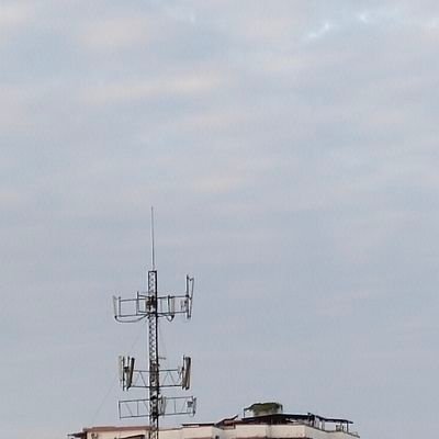 nsbhlmhyhxttl's profile picture. ckdl