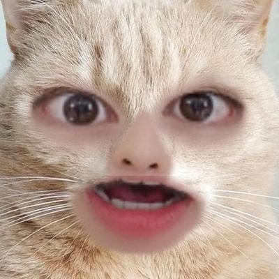 hj2skz's profile picture. — STRAY KIDS fan acc (◜◡◝. )🎨 ร้อยปีจะวาด fanart ซักทีนึง #hj2skzreview