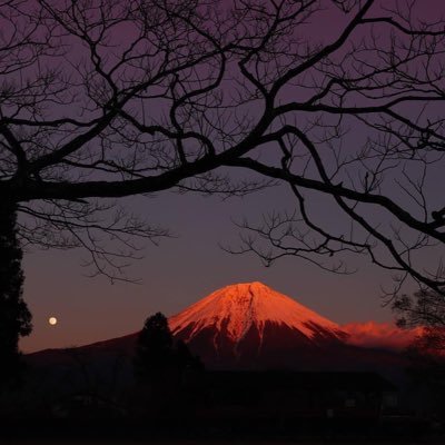 takuya_fire_7's profile picture. はい、裏裏アカです。酒と食事と○○Xが大好きです。