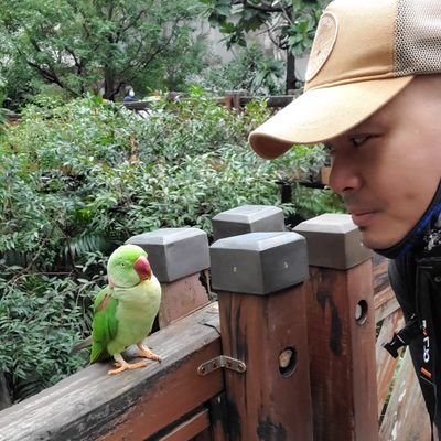 WilljamSonyA7IV's profile picture. Hey I am an NFT artist in Photography, please check out my work.
https://t.co/60pTDUwhVe