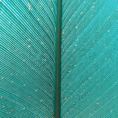 claragoesgreen's profile picture. Enabling digital transformation on the last mile