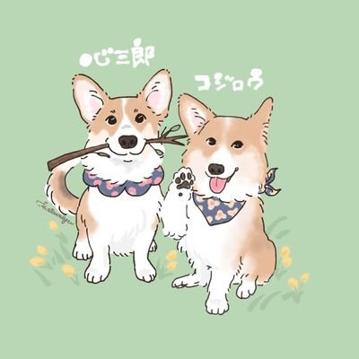 愛犬のコジロウ♂(2008/1/8～2020/2/14🌈)と
心三郎♂(2020/6/2生)と
かぁしゃんのツイートです

誹謗中傷、写真無断使用お断り