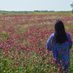 Clari (@clacian) Twitter profile photo Clari (@clacian) Twitter profile photo