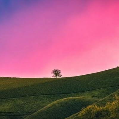 DineshR1315's profile picture. 