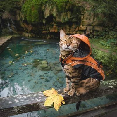 petra_pascal's profile picture. Hi)