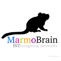 INT Marmobrain(@INT_MarmoBrain) 's Twitter Profile Photo