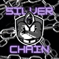 SilverxChain(@SilverxChain) 's Twitter Profileg