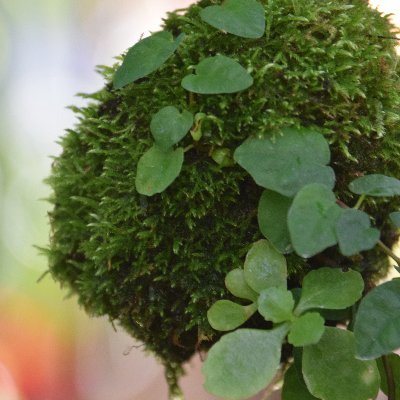 steel_333's profile picture. 