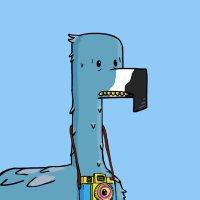 nftographer (🐠⚔️🐟) (@nftographer) 's Twitter Profile