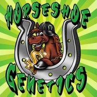 Horseshoe Genetics(@HorseshoeSeeds) 's Twitter Profile Photo