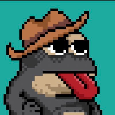 thetvvins's profile picture. 🌐 building in the web3 world…