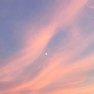 pipermclean30's profile picture. 