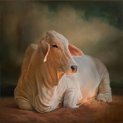 kasrajput1's profile picture. कट्टर हिन्दू (राजपूत)

धर्मों रक्षति रक्षित: ॥