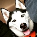 Serena Schreiber - @SerenaSchreibe2 - Twitter