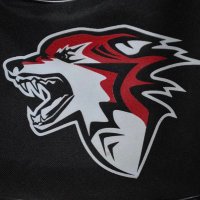 Eastlake HS Wolves Fastpitch(@EastlakeFP) 's Twitter Profile Photo
