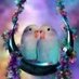 Qahar Hamza (@qahar_hamza) Twitter profile photo Qahar Hamza (@qahar_hamza) Twitter profile photo