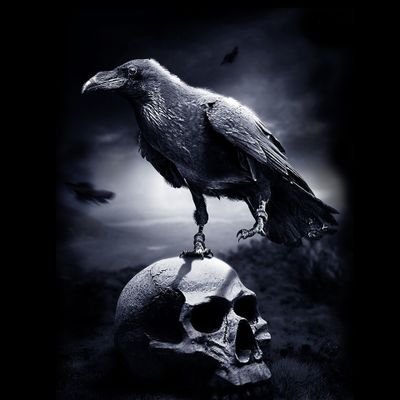 tclass88's profile picture. Licht Liebe Leben und HC ypmf ! #GPN