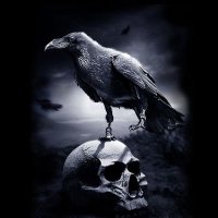 T.Skusi (@tclass88) 's Twitter Profile