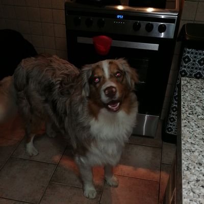 Noa_amis_lenzo's profile picture. Beau ou moche