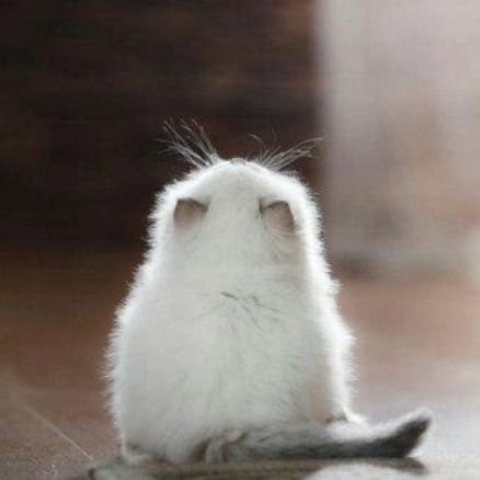 YukiByun2's profile picture. Memories never die/
family/
friends/
cats/
bts/
blackpink /
anime