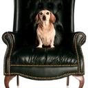 Fred Beeson - @FredBeeson - Twitter