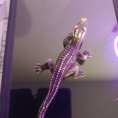 RosaEst79021934's profile picture. deepfake shorts