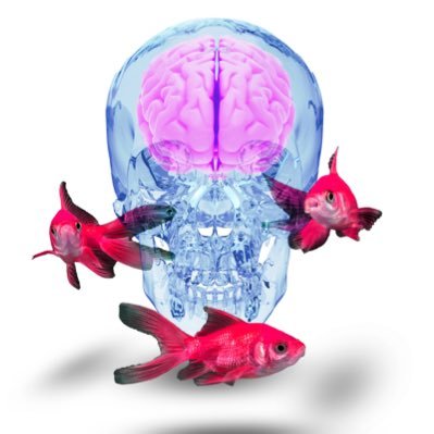 CullyMadeIt's profile picture. Mixed Media Artist based in Miami, FL.