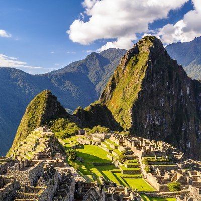 MelladoElodie's profile picture. 