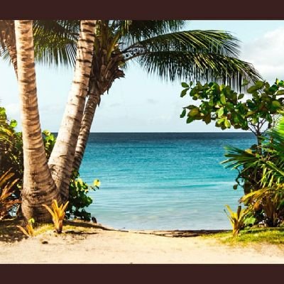 Gg6QaYPiqzFrVJw's profile picture. 