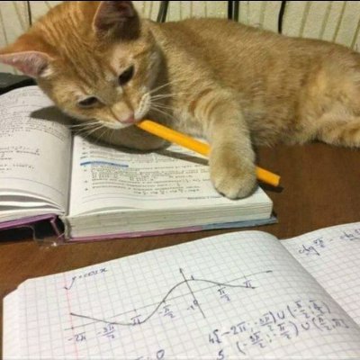 sashaselva1's profile picture. I help students with essays, research paper, thesis, quizzes, exams, and online classes.