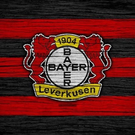 Budget 💶 : 1M • Investisseur @transfermarktRP • Sponsor @_DeerSport_ • #Bayer04 🇩🇪 •